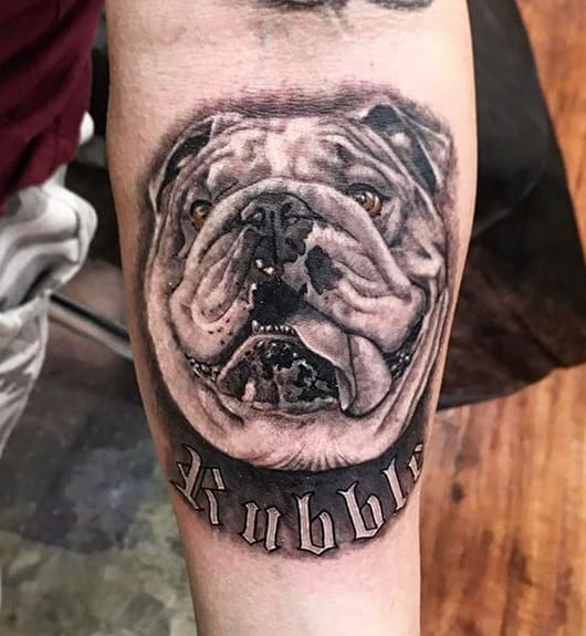 14 Realistic English Bulldog Tattoos - PetPress
